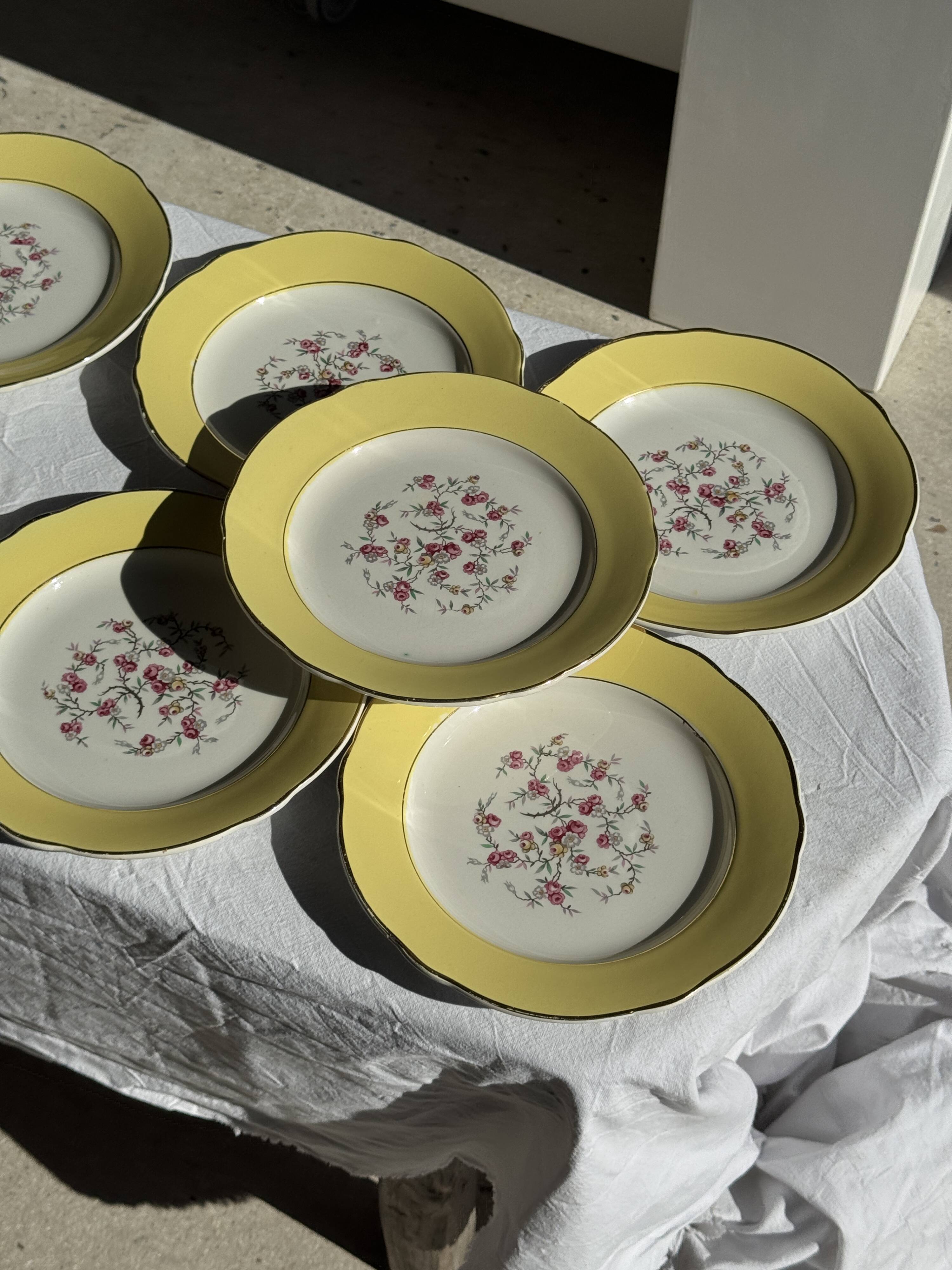 Lot de 19 grandes assiettes plates vintage jaunes fleurs roses liseré doré