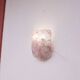 Set of 4 Murano Wall Light Pink Flower by Seguso, 1970