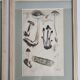 Two old engravings of watercolor mushrooms nineteenth century after G. Bernard