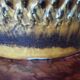 Antique very large West Germany ceramic vase