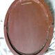 Former art deco framed photography oval glass wood marquetry