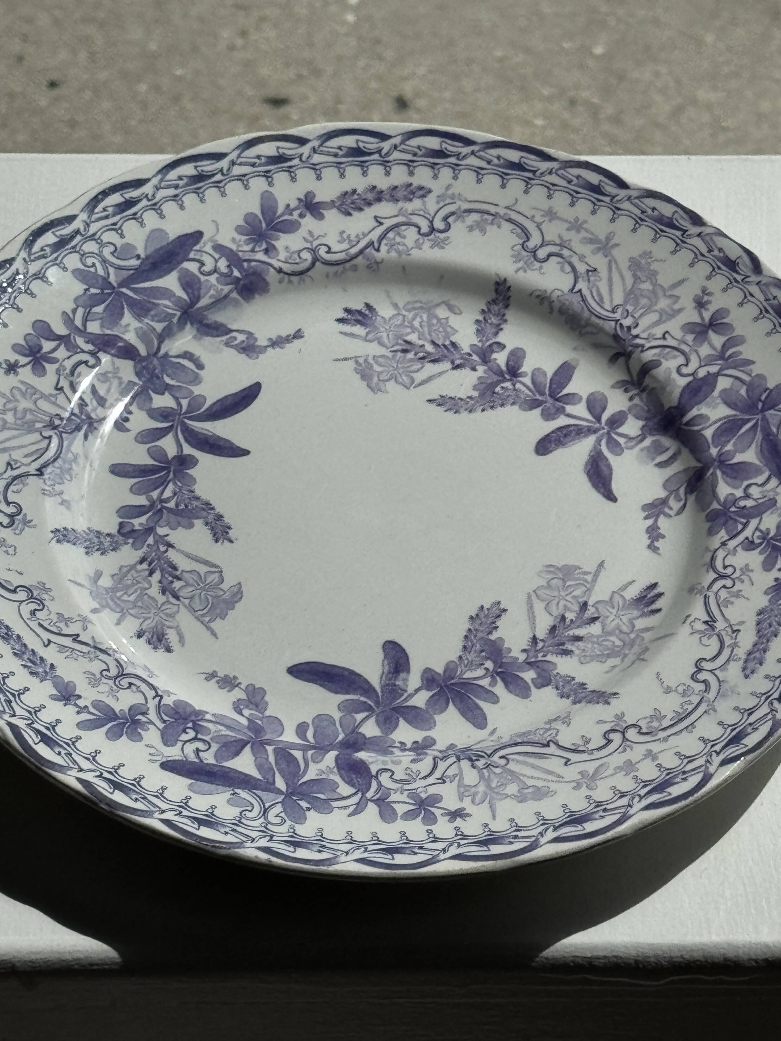 Set of 5 flat plates in earthenware with a lavender floral design H2 D22