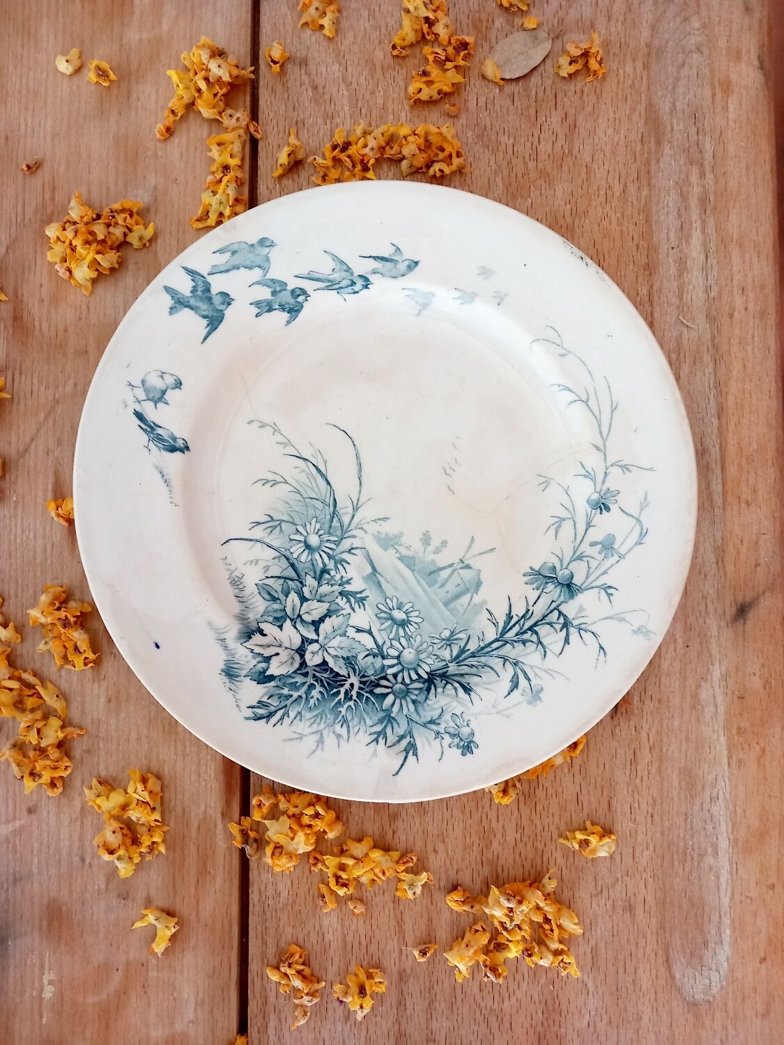 Assiette à dessert Giens Paysage
