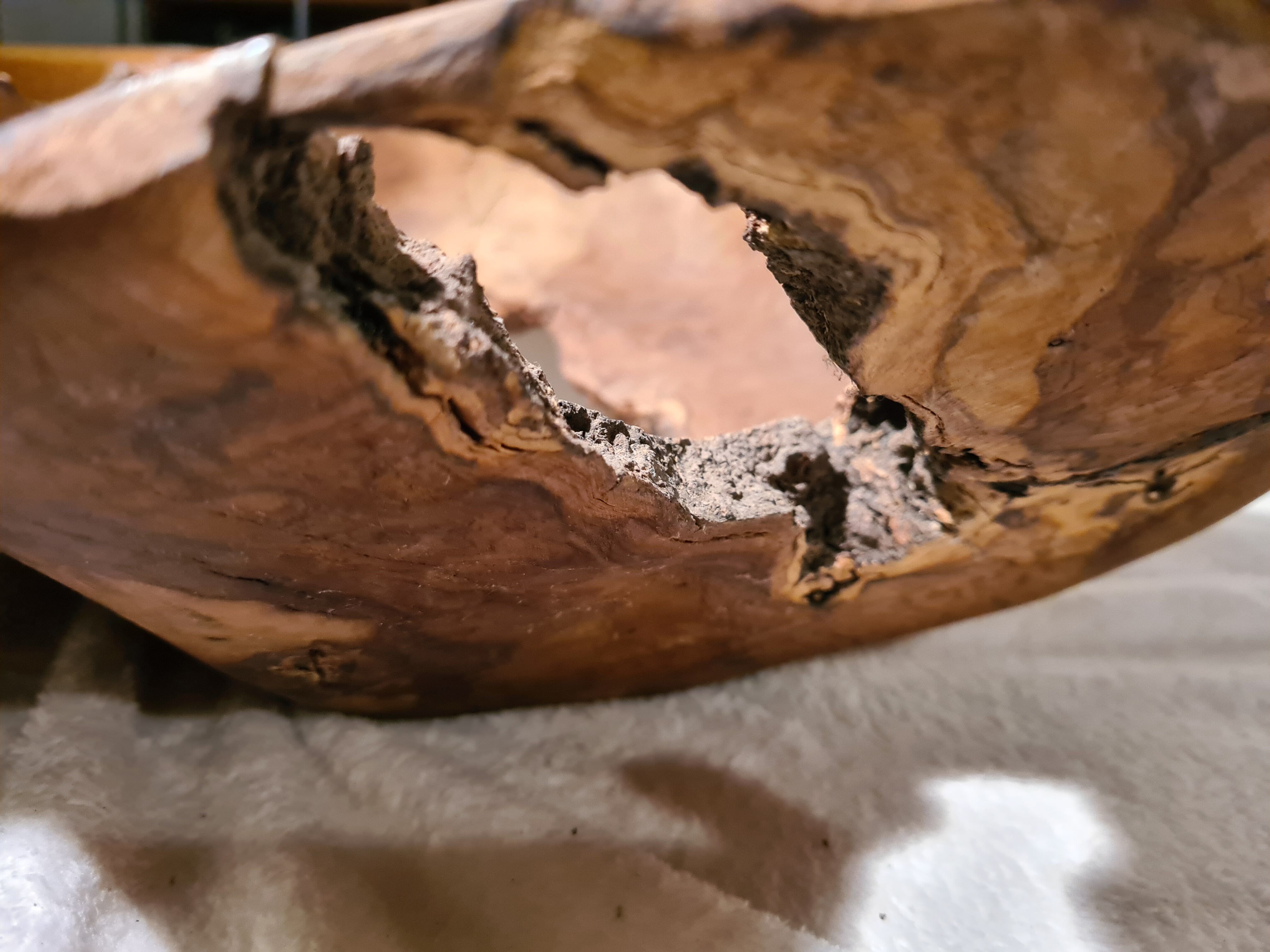 Tony Bain vallauris olive wood cut