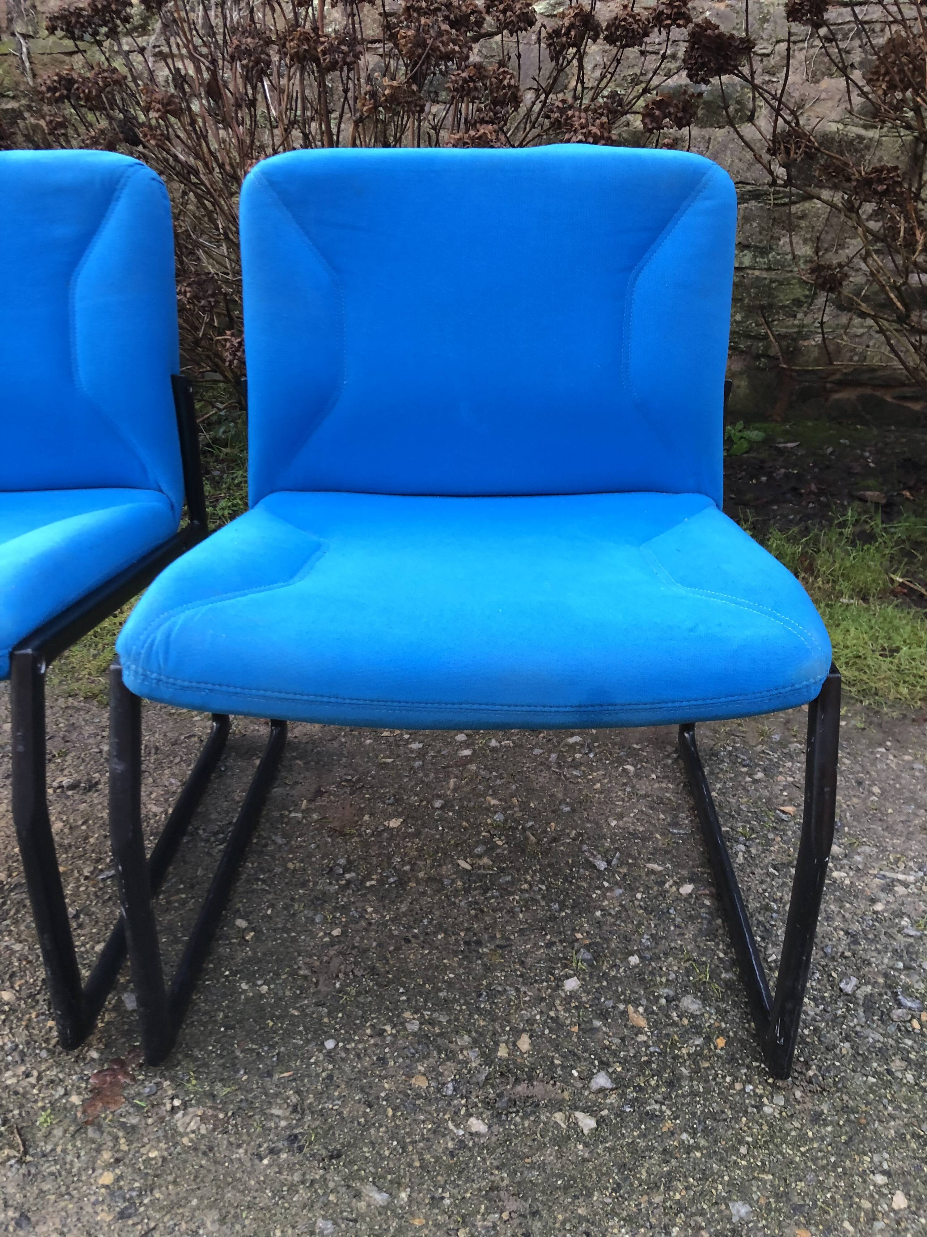 Electric blue fabric designer armchairs with black lacquered metal legs from the 80s.