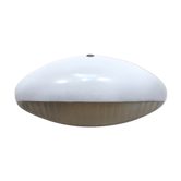 Apply Prismopal model AMV1