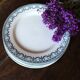 A set of 6 flat plates Terre de Fer Guirlandes Louis XVI Salins