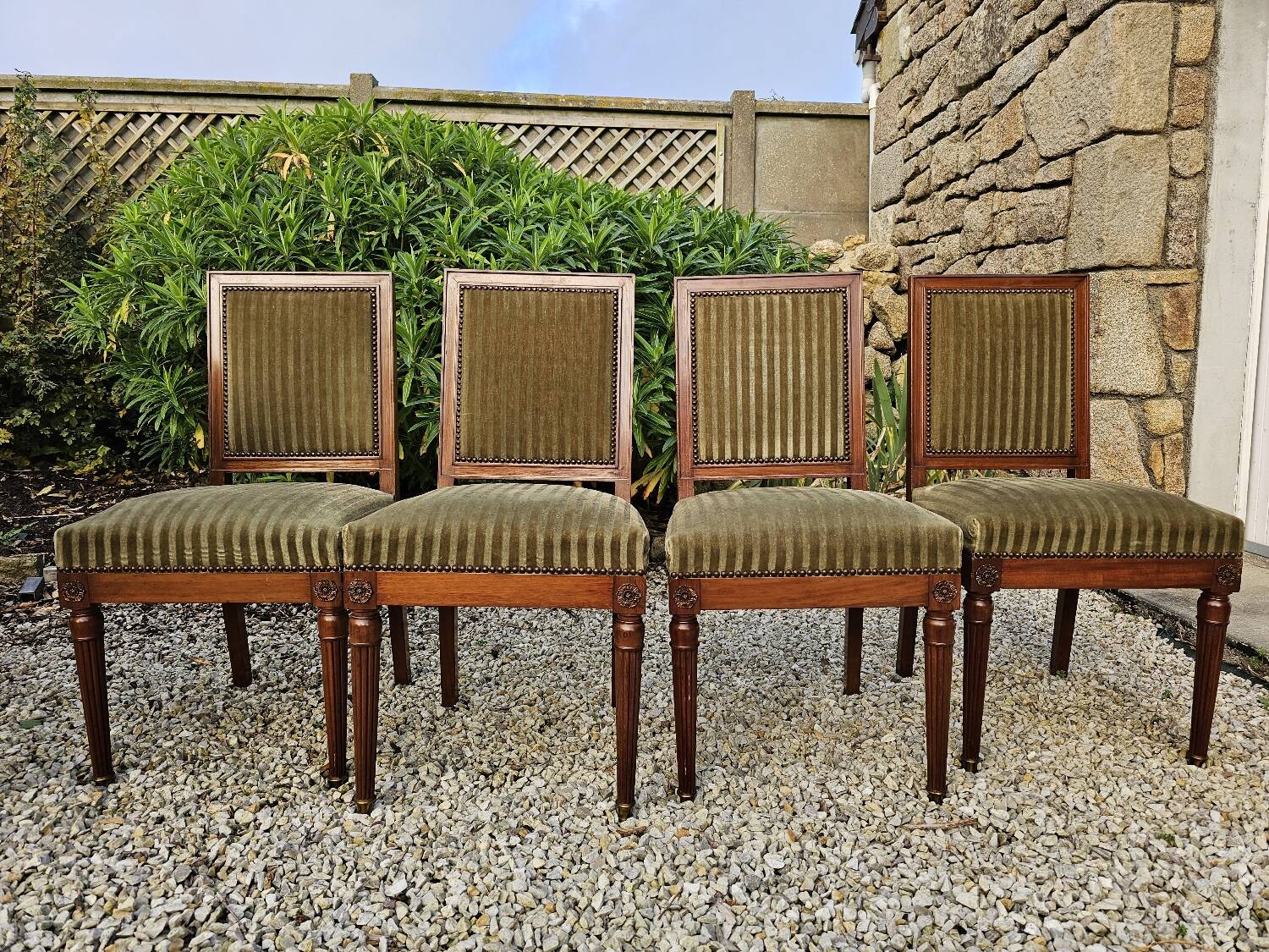 Set of 4 mahogany and velvet chairs