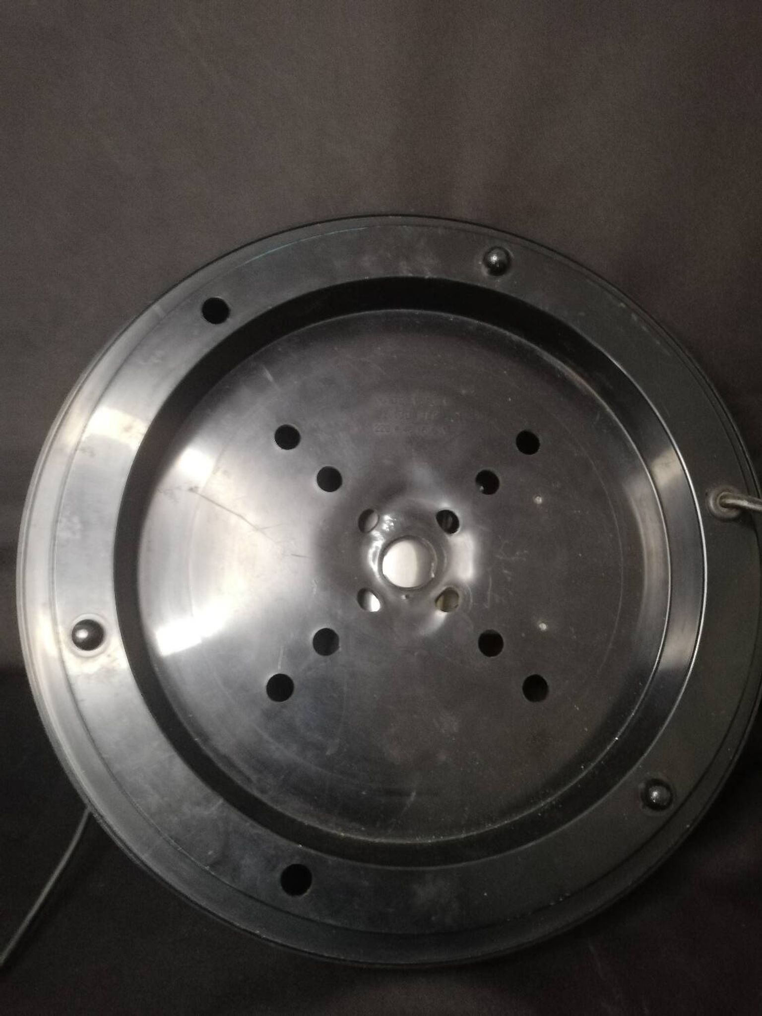 Fiber optic lamp