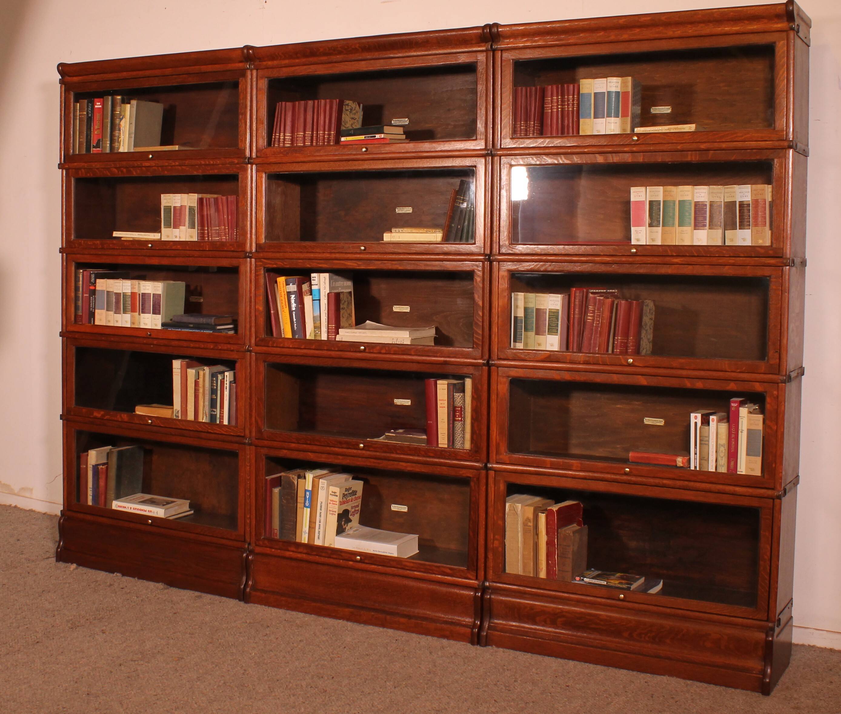 Library Wall of 3 Globe Wernicke Modules in Oak - 19th Century