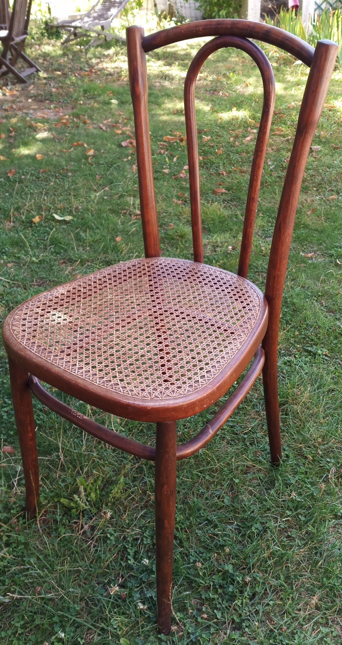 Bistro chair japy curved wood & old cannage