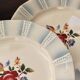 4 vintage Sarreguemines “Claude” dinner plates - Earthenware with floral decoration