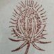 Pair of vintage plates with rusty brown thistle decoration – 1950s