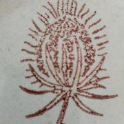 A pair of vintage plates with a rust-brown thistle design – 1950s.