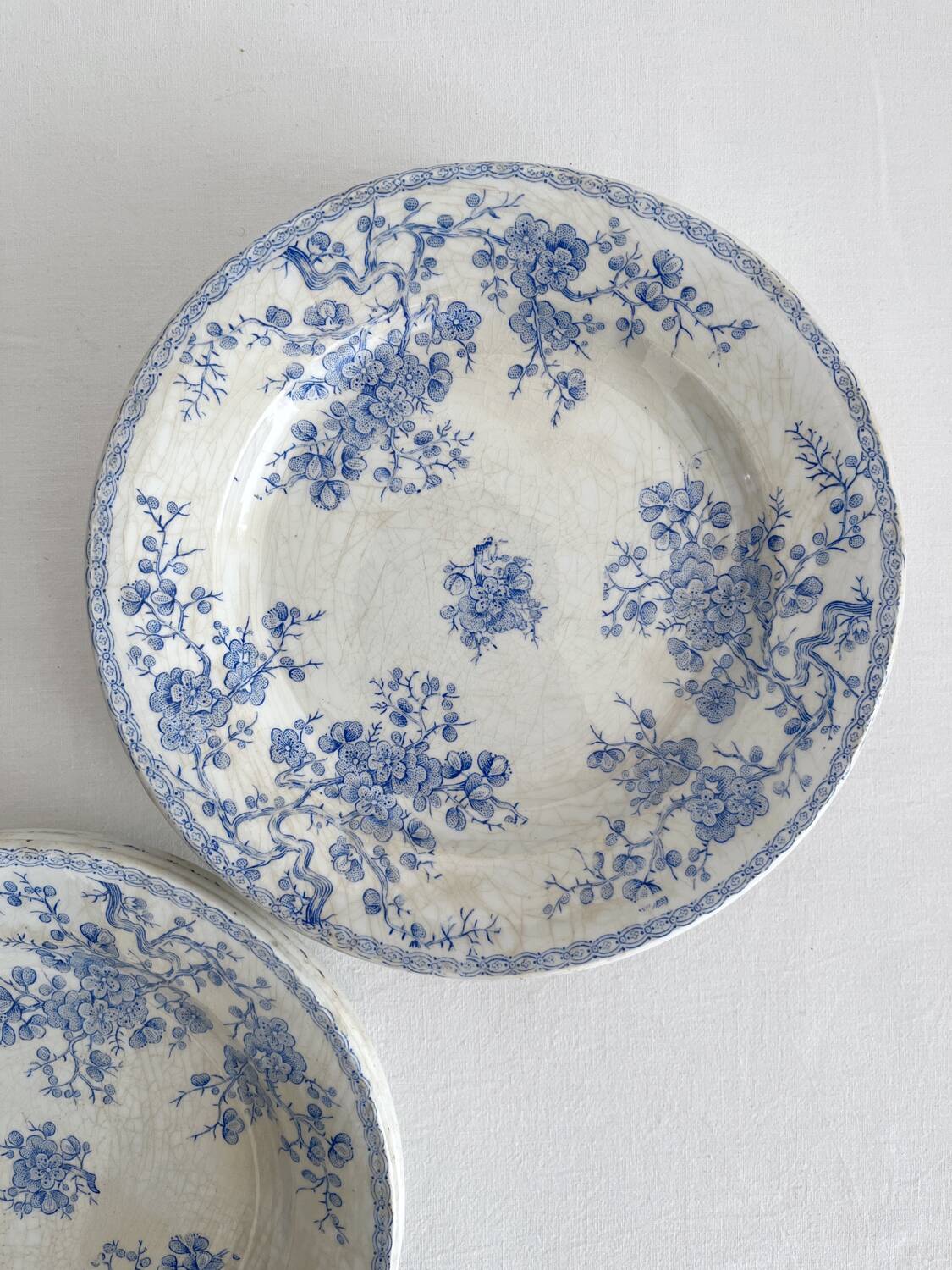 8 flat ironstone plates “Fleurette” Gien