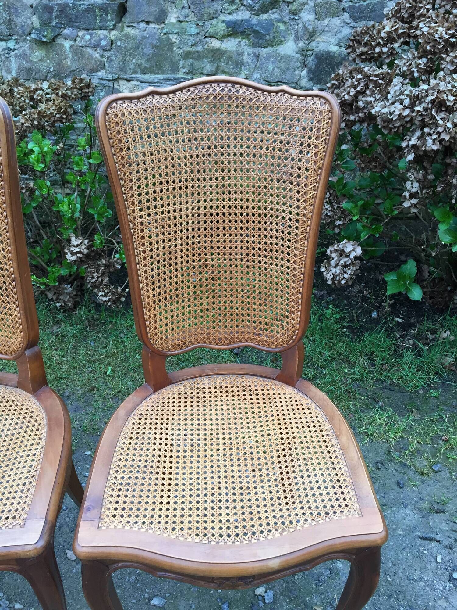 Vintage regency cherry chairs with canned backrests and seats