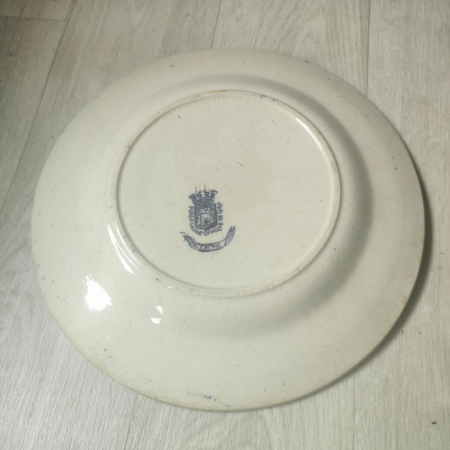 Porcelain plate gien