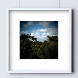Limited edition art photo. Numbered, dated and signed by the photographer