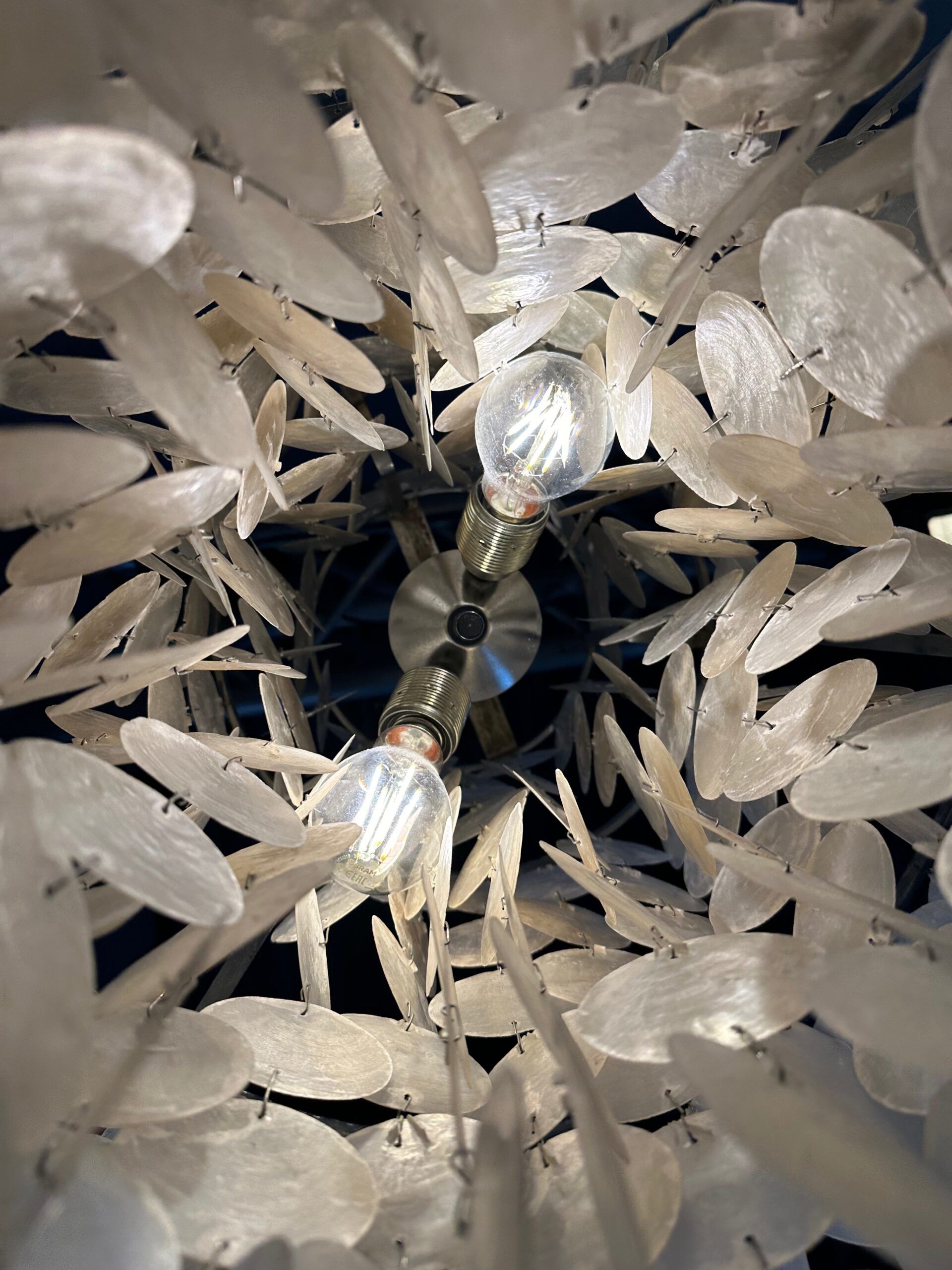 Vintage XL shell chandelier