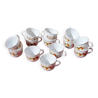 Lot 13 Arcopal autumn fruit coffee cups