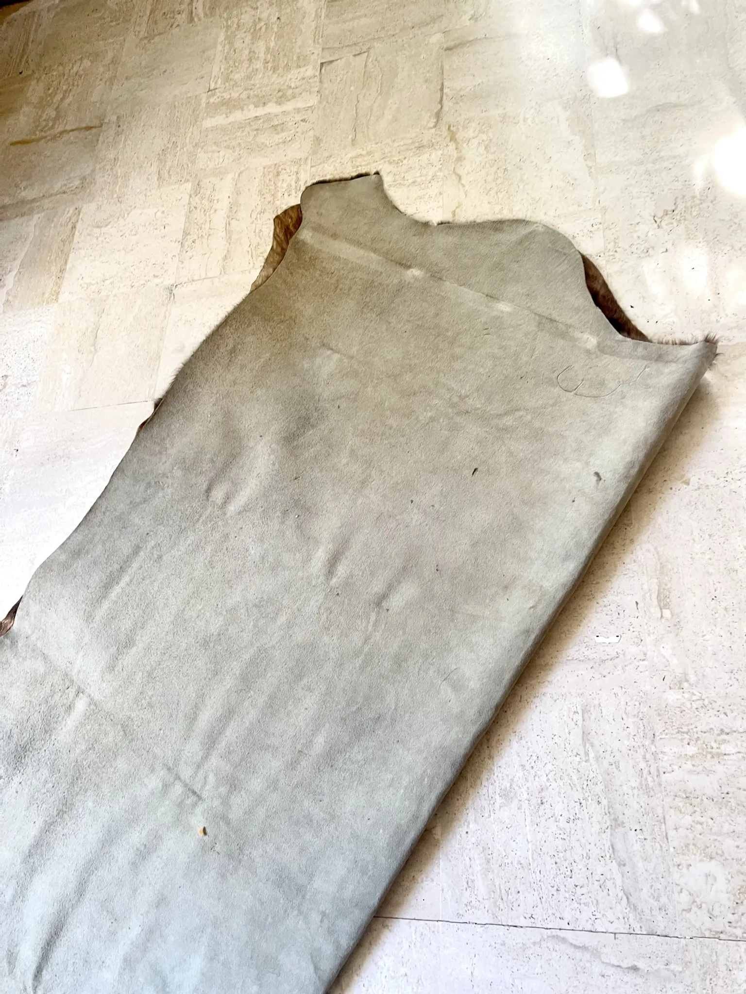 Texas cowhide rug, 1970