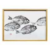 Framed art print, "Print of a school of sea bream" (gyotaku)