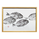 Framed art print, "Print of a school of bream" (gyotaku)