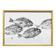 Framed art print, "Print of a school of bream" (gyotaku)