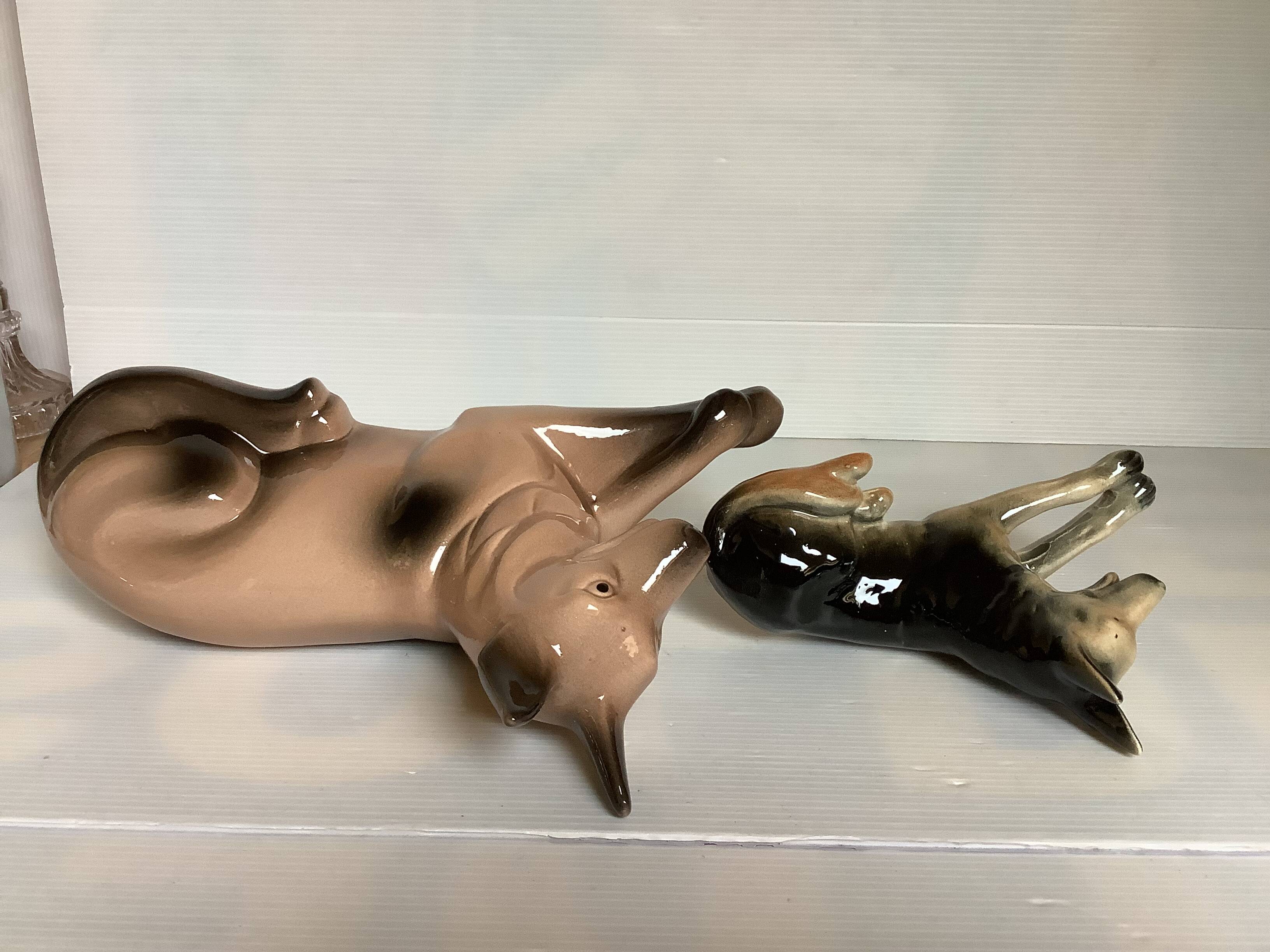 A pair of German shepherds.