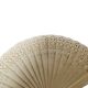 Art Nouveau Austro-Hungarian celluloid fan, 1900s