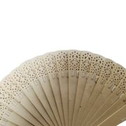 Art Nouveau Austro-Hungarian celluloid fan, 1900s
