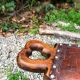 Chaise vintage tripode en bois et cuir années 60