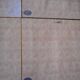 6 oleograph painting Brokkpace Cows Hens Pigs