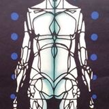 Polish moose theatre poster 1968 Polish poster vintage design