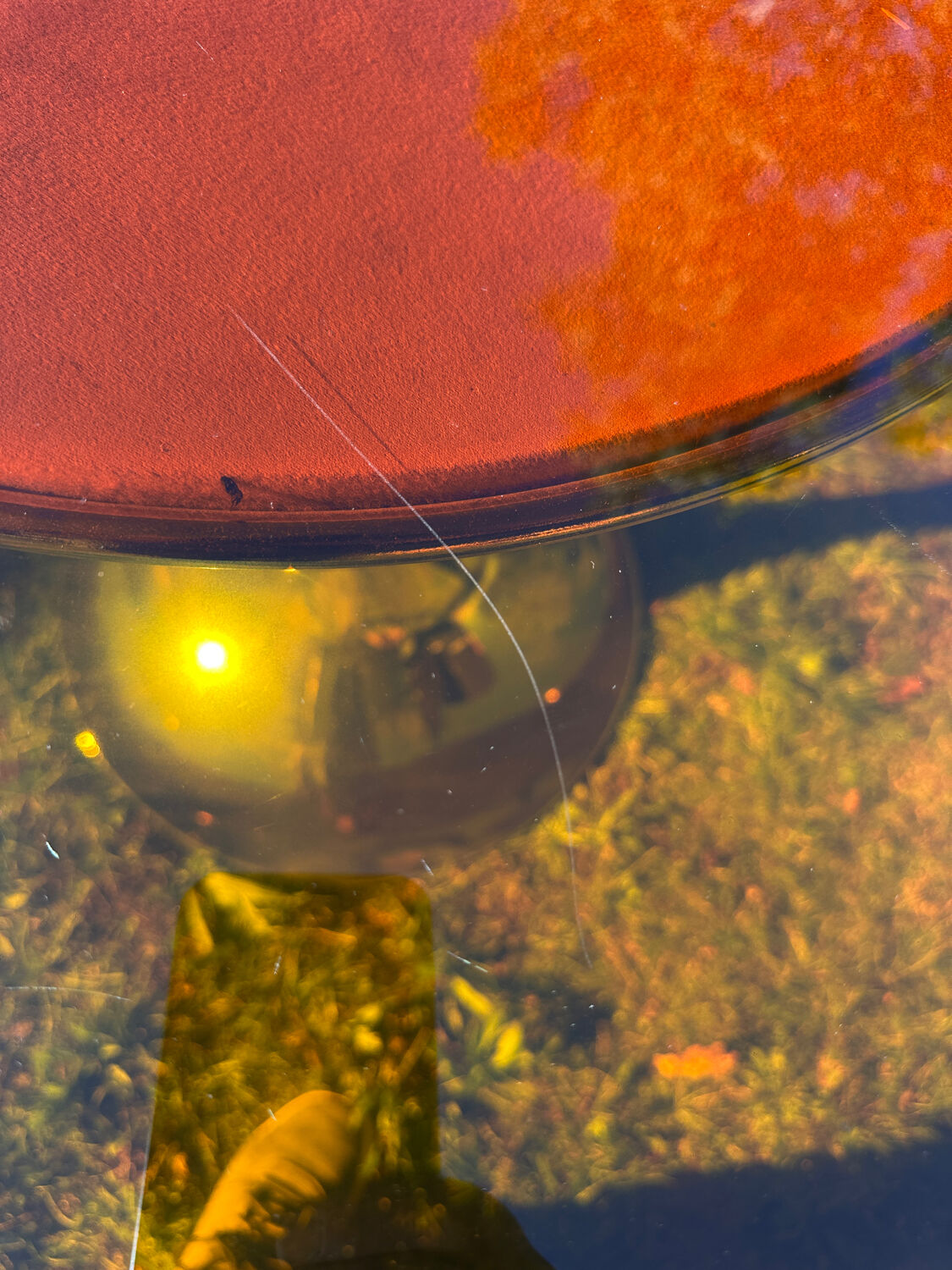 ORANGE smoked glass tulip foot table Gastone Rinaldi