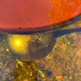 ORANGE smoked glass tulip foot table Gastone Rinaldi