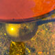 ORANGE smoked glass tulip foot table Gastone Rinaldi