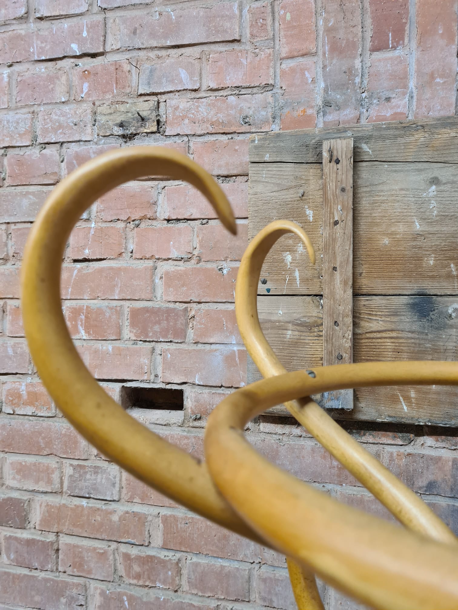 Old coat rack parrot vintage wood