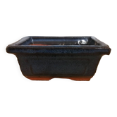 Pot Bonzaï