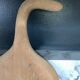 Vintage cutting board with swan neck handle