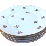 5 antique porcelain flat plates PN France