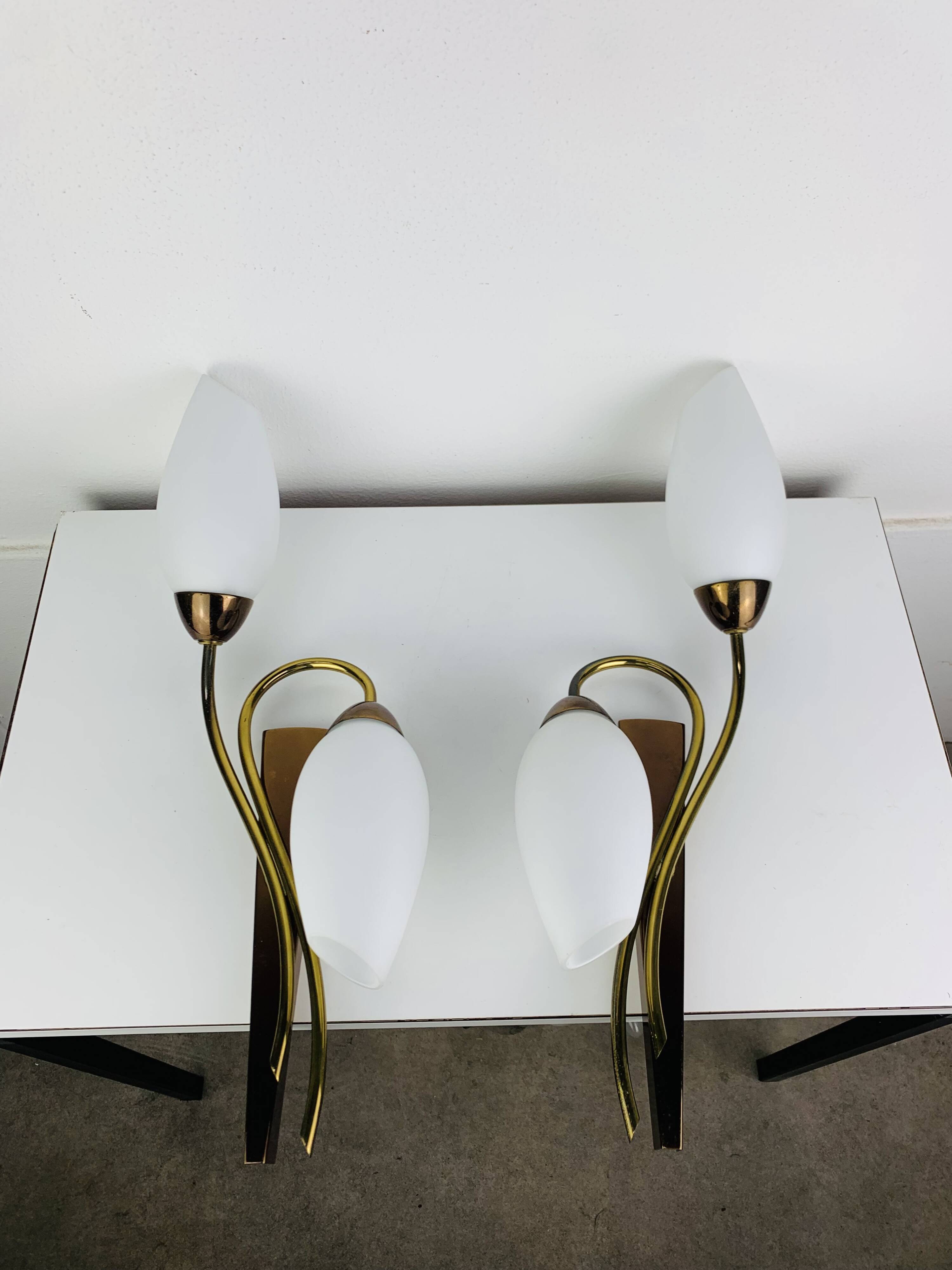 Pair of 1950s wall lights in brass and opaline tulips, Lunel/Arlus