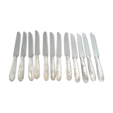 Service of 12 knives with silver metal pitches
