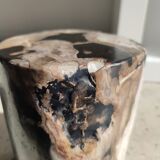 Side table in petrified wood