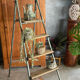 Ancient painter's stepladder