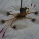 Golden chandelier fish pattern brass 6 branches art deco vintage fine 50s