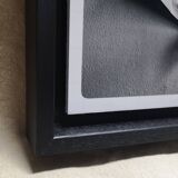 Art photo mounted in American crate