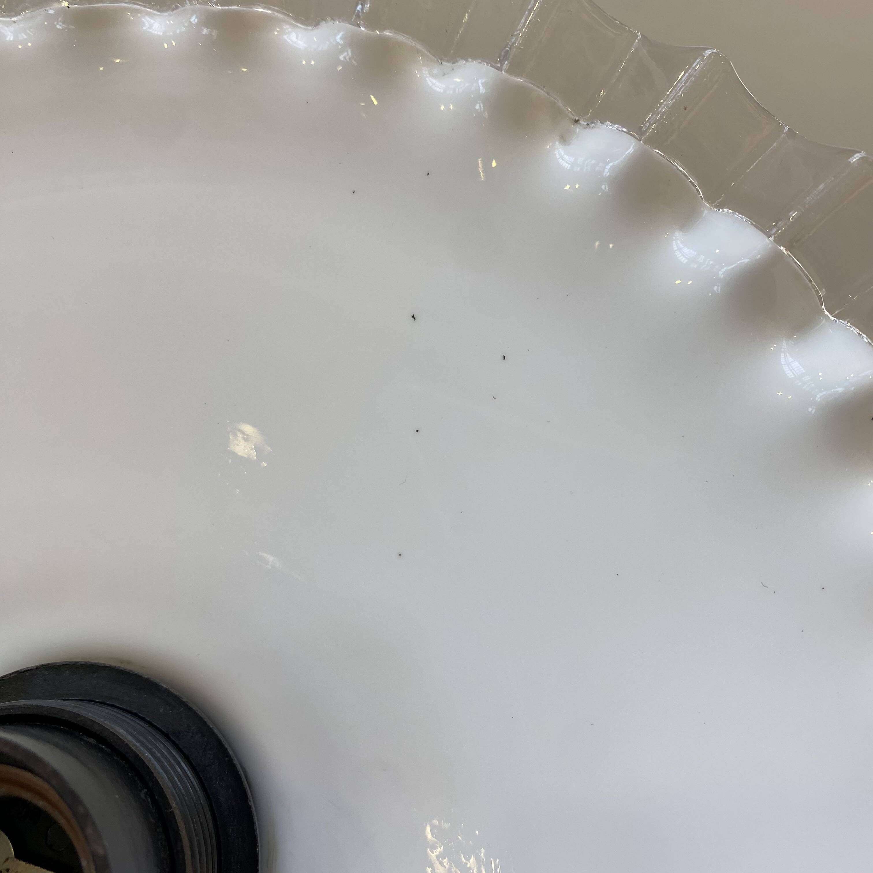 White opaline pendant light with transparent serrated edges