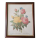 Tableau Redouté, Rose jaune et rose du Bengale.