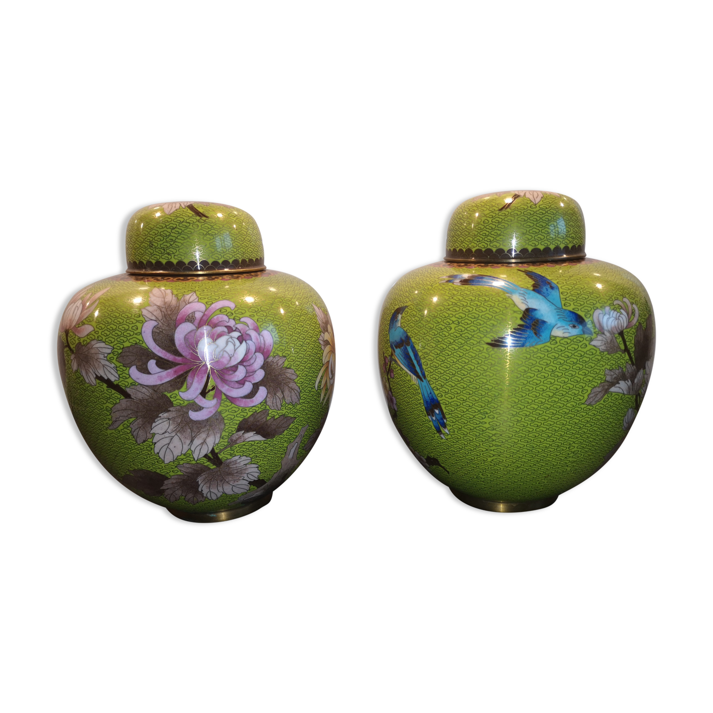 Paire de pots à gingembre en émail cloisonné début 20ème siècle